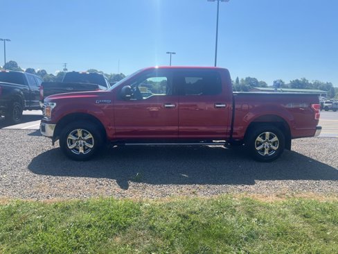 Used 2019 Ford F150 XLT w/ Equipment Group 302A Luxury image 3