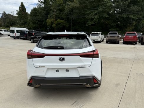 Used 2019 Lexus UX 250h F Sport image 6