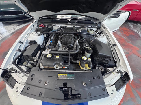 Used 2008 Ford Mustang Shelby GT500 image 13