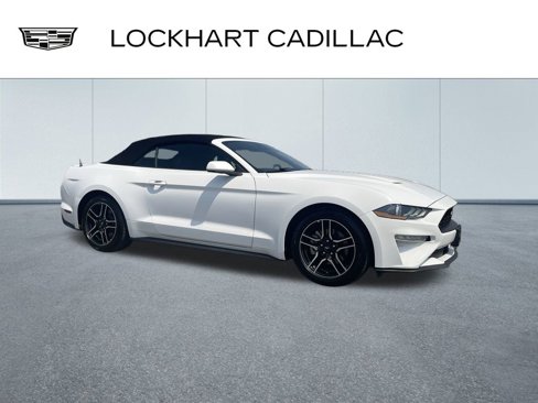 Used 2023 Ford Mustang Premium image 1