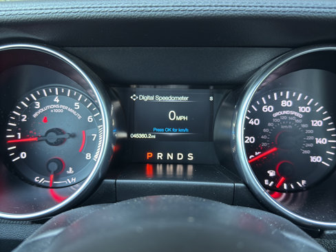 Certified 2019 Ford Mustang Coupe w/ Equipment Group 101A image 33