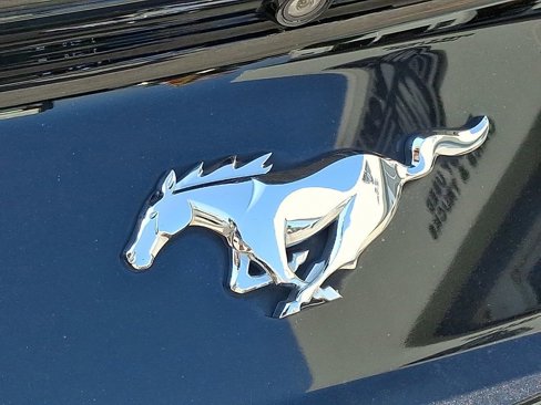 Used 2015 Ford Mustang Premium image 33
