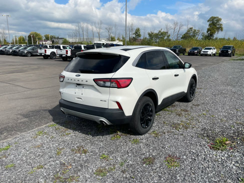 Used 2022 Ford Escape SE w/ Convenience Package image 5
