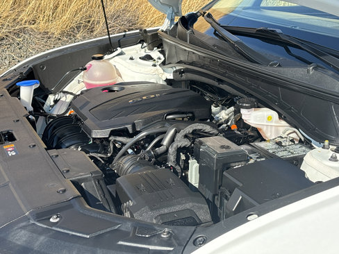 Used 2023 Hyundai Tucson Limited image 8