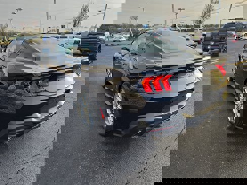 New 2025 Ford Mustang GT Premium image 3
