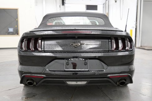 Used 2020 Ford Mustang Premium image 6