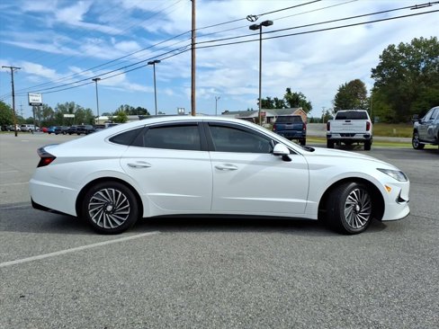 Used 2022 Hyundai Sonata Limited image 3