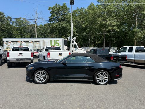 Used 2016 Ford Mustang Premium w/ Equipment Group 201A image 8