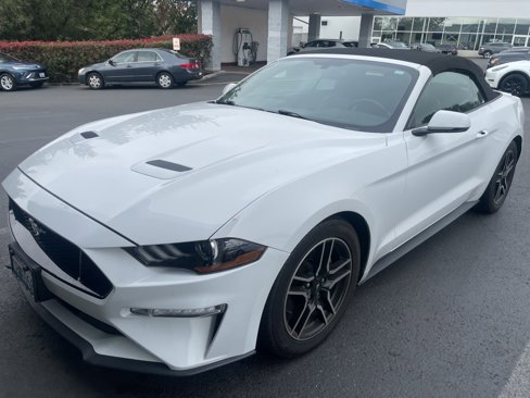 Used 2019 Ford Mustang Premium image 5