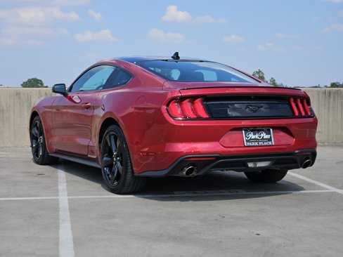 Used 2022 Ford Mustang Premium w/ Equipment Group 201A image 3