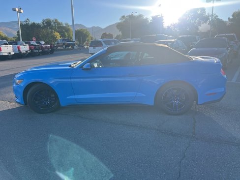Used 2017 Ford Mustang Premium image 13
