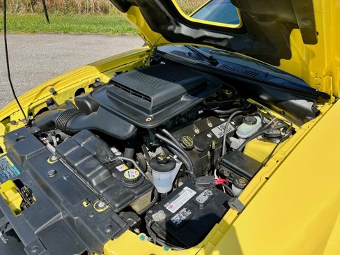 Used 2003 Ford Mustang Mach 1 image 14