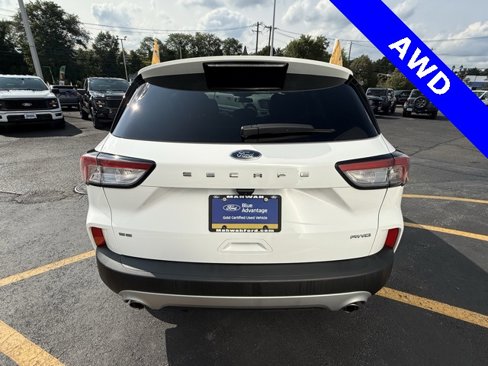 Certified 2022 Ford Escape SE w/ Convenience Package image 6