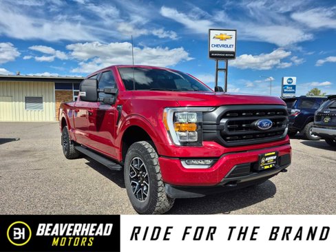 Used 2021 Ford F150 XLT w/ Equipment Group 302A High image 1