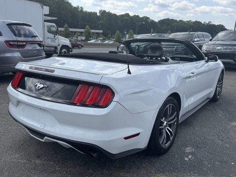 Used 2017 Ford Mustang Premium image 4