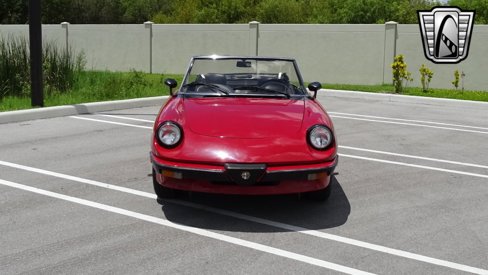 Used 1986 Alfa Romeo Spider Graduate image 23