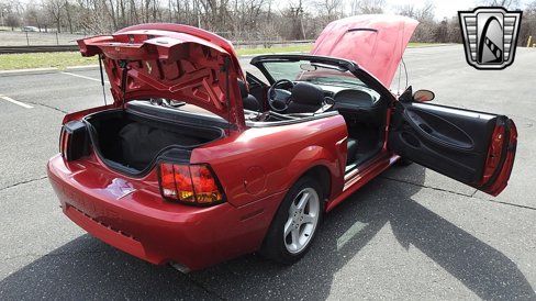 Used 2001 Ford Mustang Cobra image 15