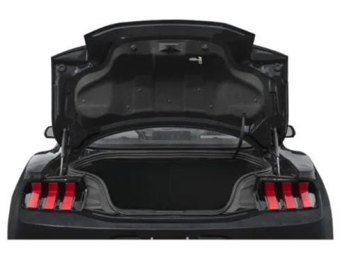 New 2025 Ford Mustang Coupe image 14