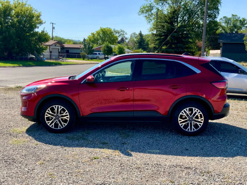 Used 2020 Ford Escape SEL image 2