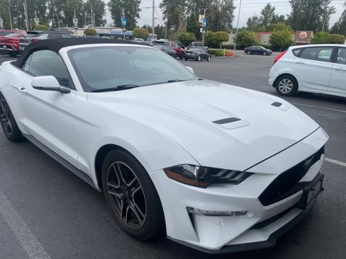 Used 2019 Ford Mustang Premium image 1