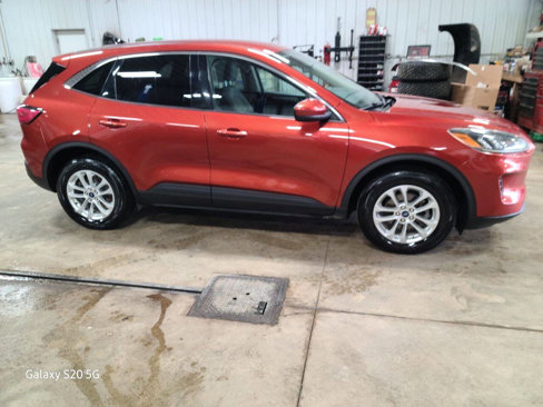 Used 2020 Ford Escape SE image 9