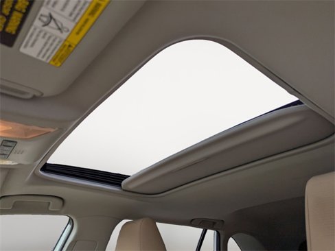 Used 2019 Toyota RAV4 XLE image 11