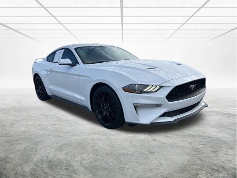 Used 2018 Ford Mustang Coupe w/ Ecoboost Performance Package image 2