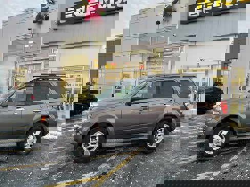 Used 2010 Ford Escape XLT image 3