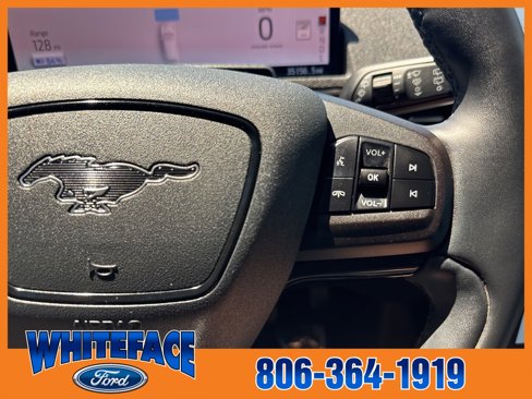 Used 2021 Ford Mustang Mach-E Premium image 46