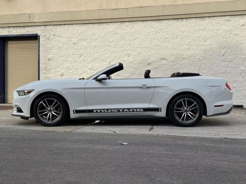 Used 2015 Ford Mustang Premium image 8