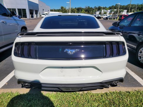 Used 2019 Ford Mustang Coupe image 5