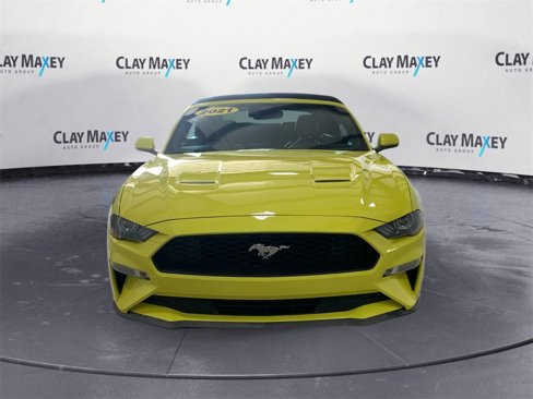 Used 2021 Ford Mustang Premium image 8