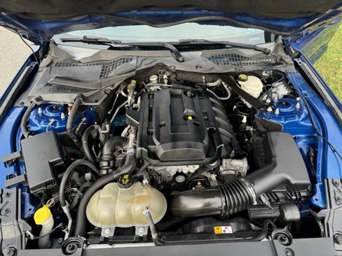 Used 2017 Ford Mustang Premium image 12