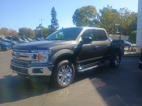 Used 2019 Ford F150 XLT w/ Equipment Group 302A Luxury image 3