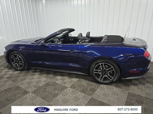 Used 2018 Ford Mustang Premium w/ Equipment Group 201A image 4