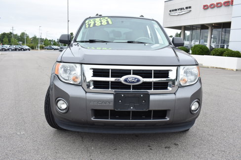 Used 2010 Ford Escape XLT image 4