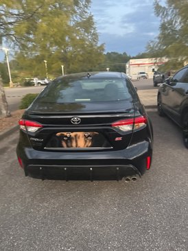 Used 2023 Toyota Corolla SE image 6