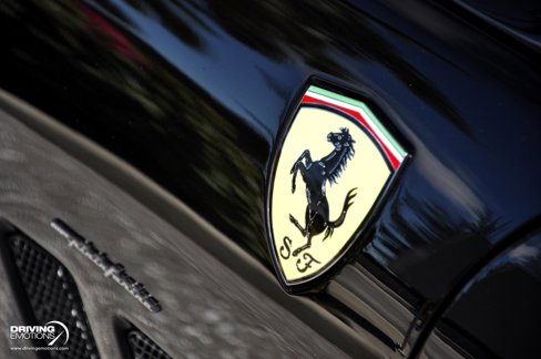 Used 1998 Ferrari 550 Maranello Coupe image 35