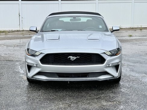 Used 2019 Ford Mustang Premium image 8