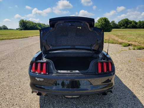 Used 2017 Ford Mustang Premium image 10