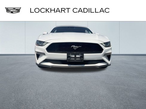 Used 2023 Ford Mustang Premium image 3