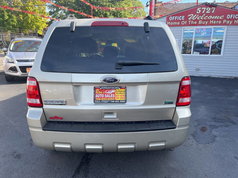 Used 2011 Ford Escape XLT w/ 201A Rapid Spec Order Code image 6