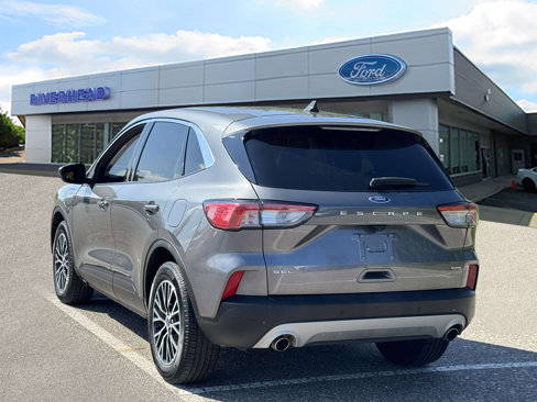 Used 2022 Ford Escape SEL image 4