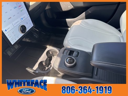 Used 2021 Ford Mustang Mach-E Premium image 48