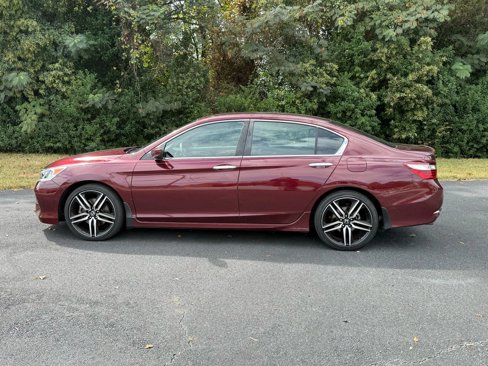 Used 2017 Honda Accord Sport image 8