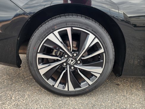 Used 2017 Honda Accord EX-L image 11