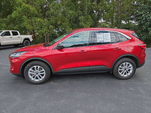 Used 2022 Ford Escape SE w/ Convenience Package image 6