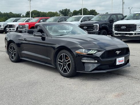 Used 2020 Ford Mustang Premium image 2