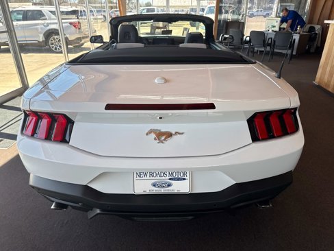 New 2025 Ford Mustang Premium image 5