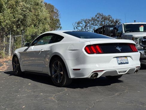 Used 2015 Ford Mustang Coupe w/ Equipment Group 051A image 10